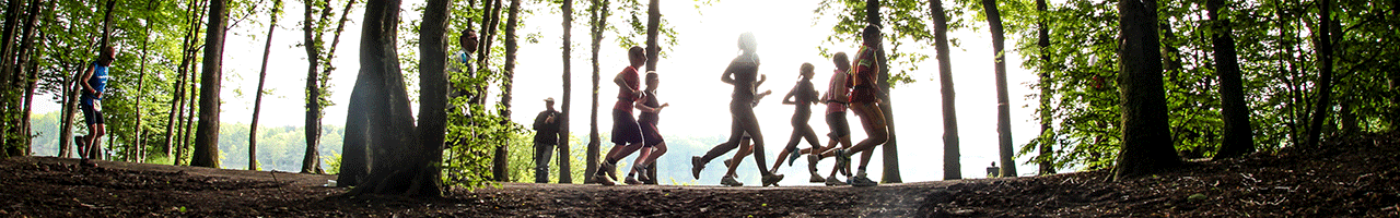 slider_page_decouverte_06